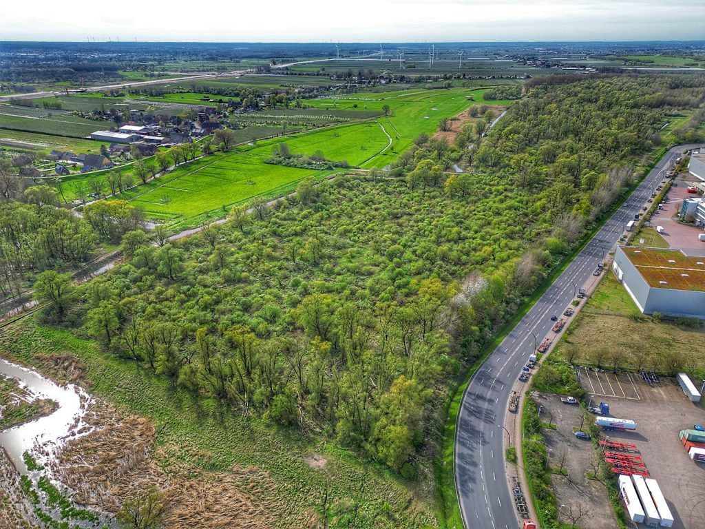 Naturschutzgebiet Vollhöfner Weiden