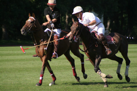Polospiel