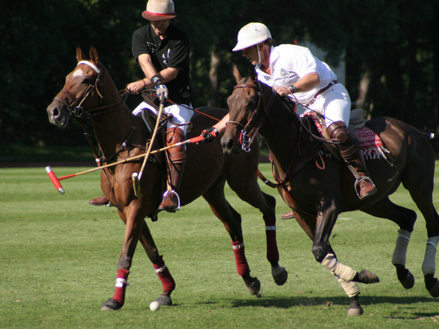 Das Polo-Turnier im Landschaftsschutzgebiet Das Polo-Turnier im Landschaftsschutzgebiet