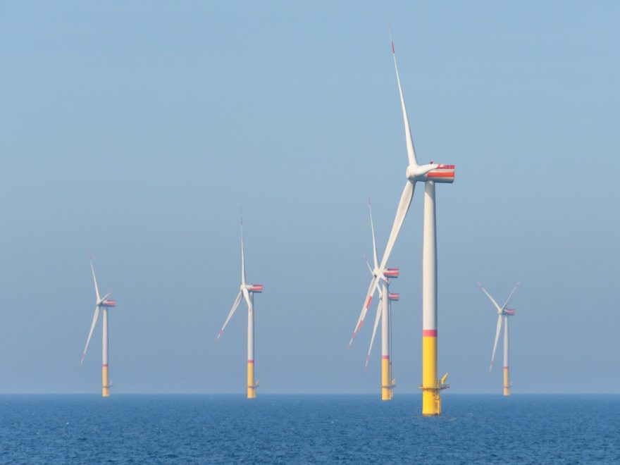 Der Offshore-Windpark, das Vogelschutzgebiet – und keine Sanierungspflicht Der Offshore-Windpark, das Vogelschutzgebiet – und keine Sanierungspflicht